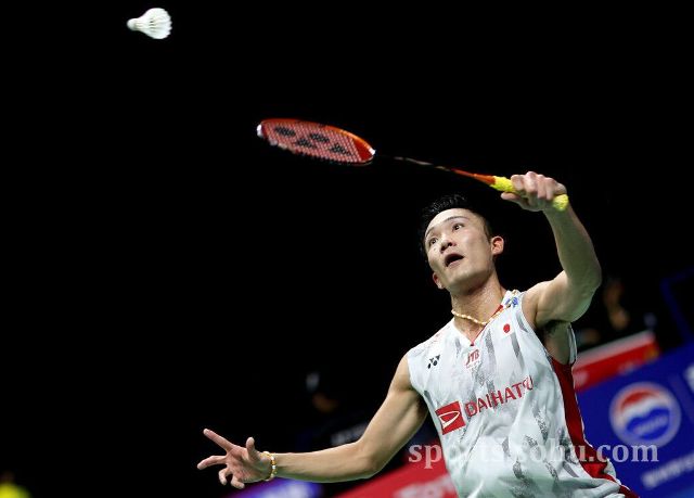 球员融入比 球员融入比