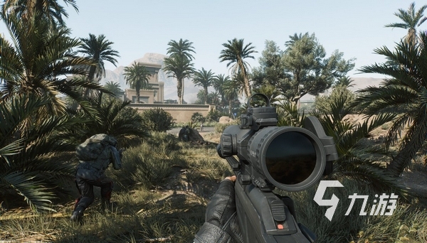 外援政策的 外援政策的